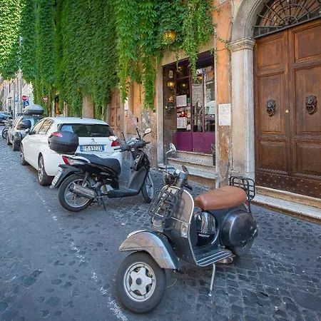 Monti Flat In